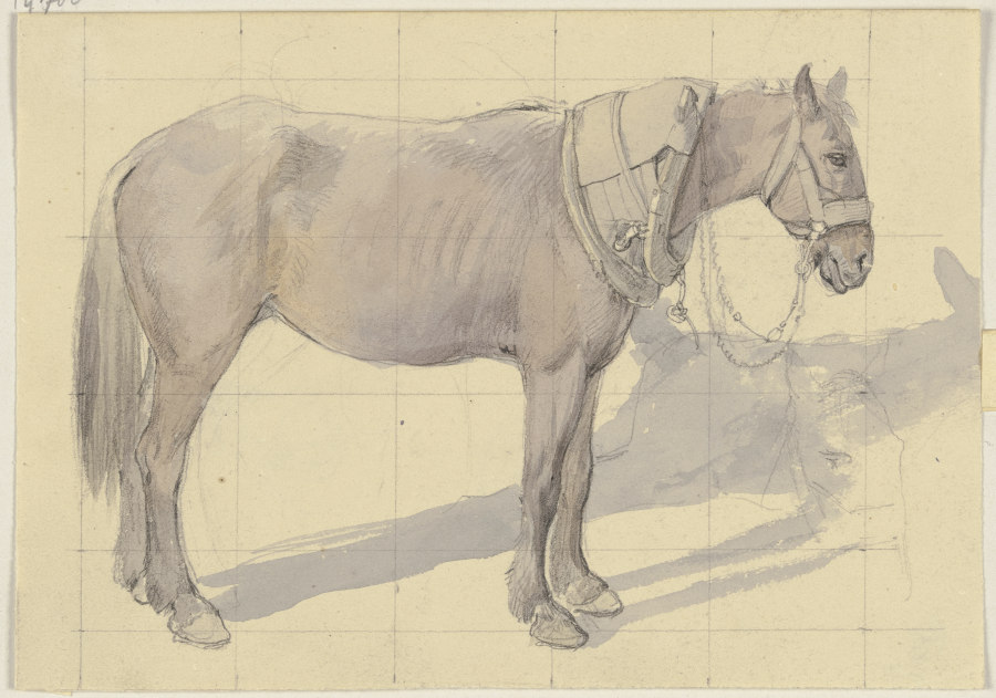 Bridled horse from Jakob Becker