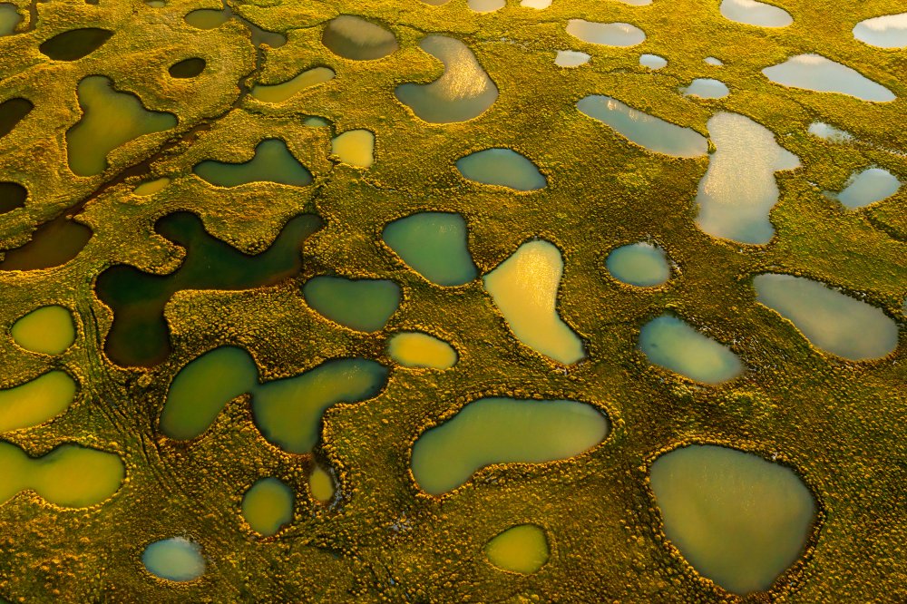 Aerial Abstract of Small Lakes from James Bian