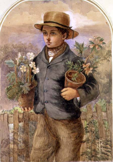 Garden Boy from James Collinson