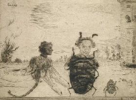 Peculiar Insects, 1888