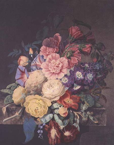 Hollyhocks and roses from James Hewlett