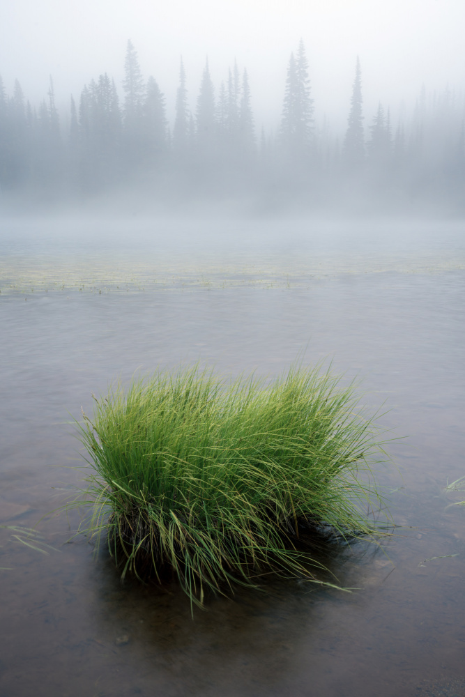 Morning at Reflection Lakes from James K. Papp