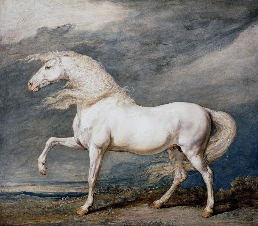 White Stallion from James Ward