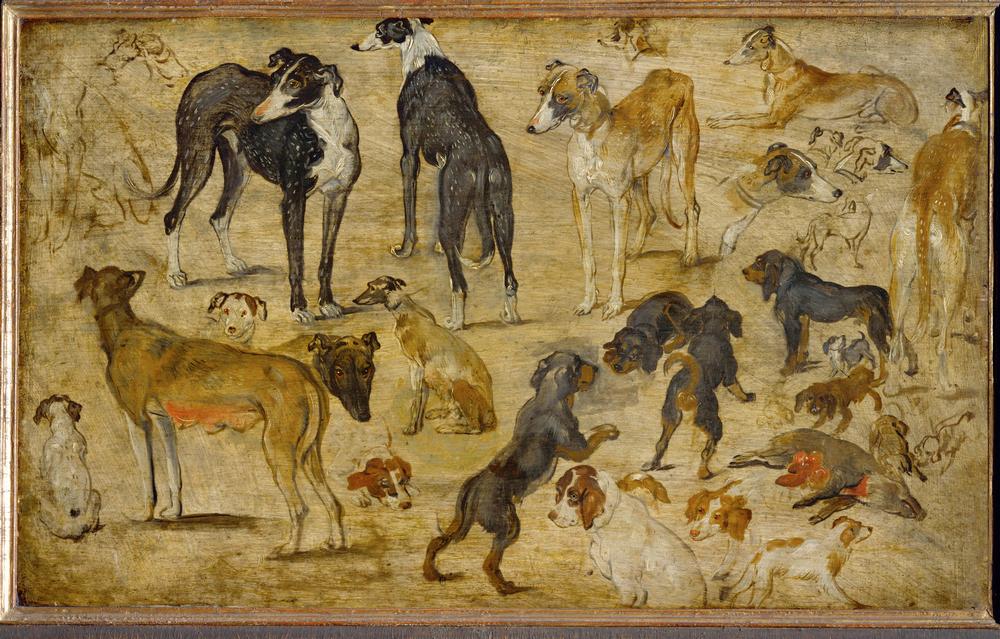 Tierstudien from Jan Brueghel d. Ä.