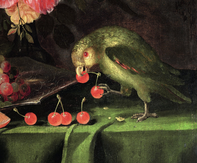 Still Life of Fruit and Flowers, detail of a Parrot from Jan Davidsz de Heem