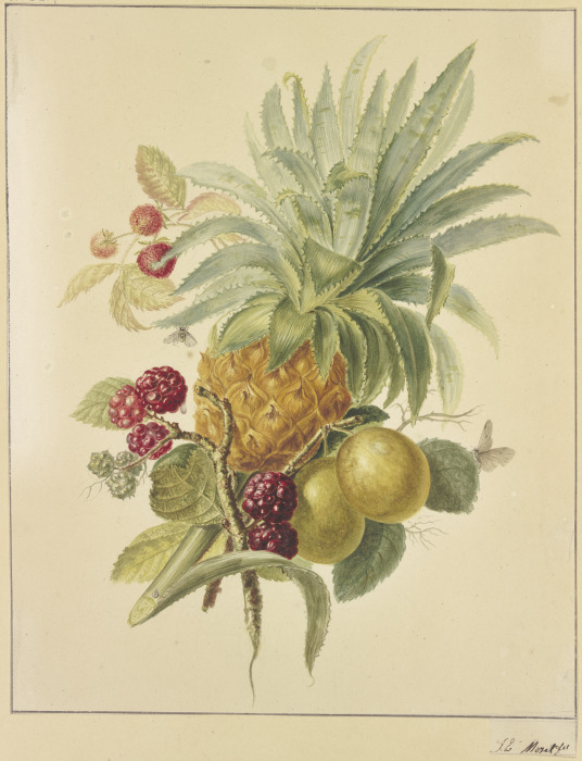 Eine Ananas, Pflaumen und Himbeeren from Jan Evert Morel