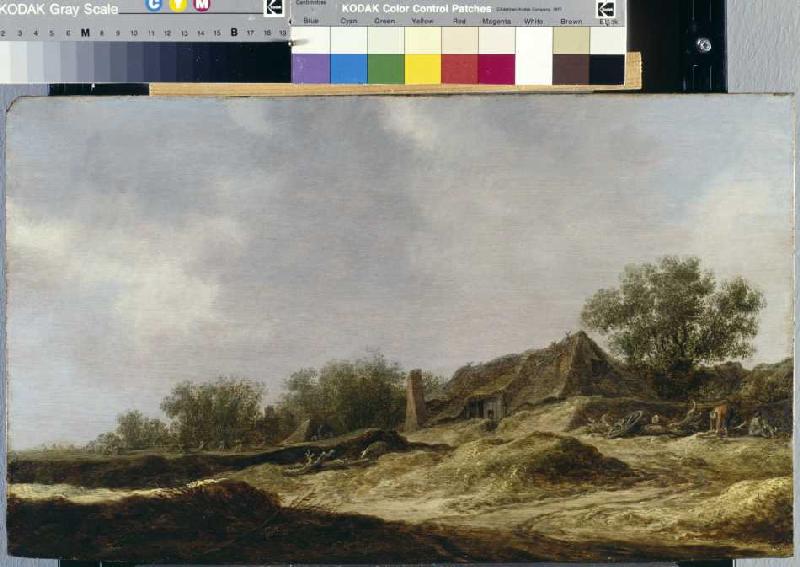 Landschaft mit Bauernhaus from Jan van Goyen