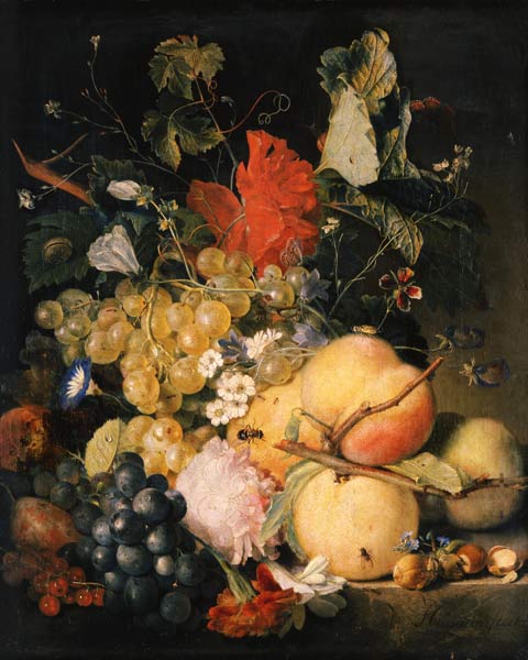 Fruits, flowers and insects from Jan van Huysum