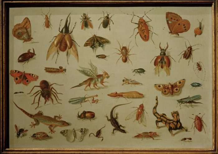 Insects and Reptiles from Jan van the Elder Kessel