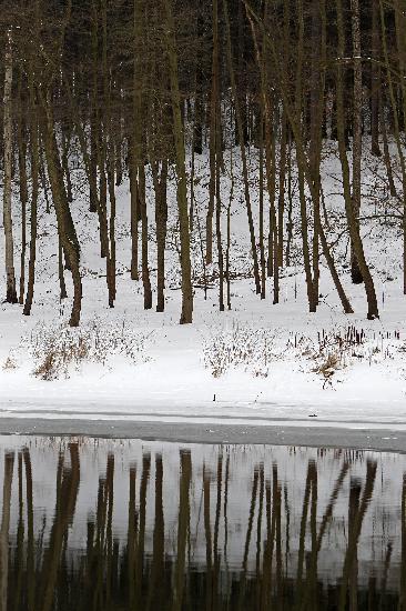 Die Zschopau im Winter from Jan Woitas