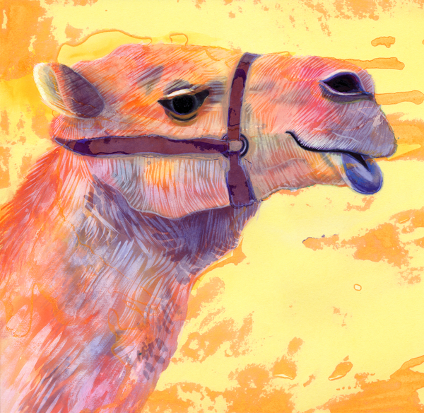 Camel from Jane Tattersfield