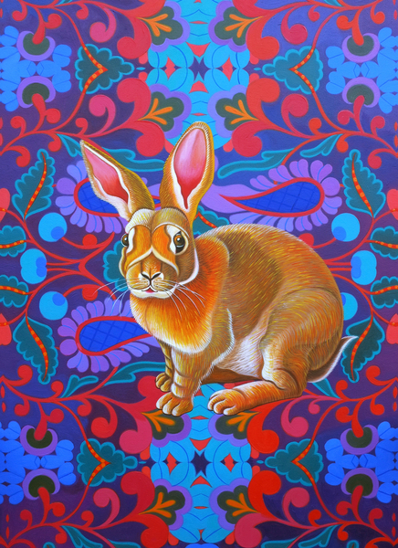 Rabbit from Jane Tattersfield