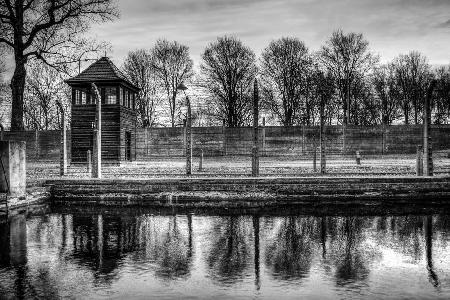 Auschwitz pond