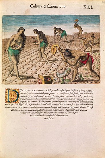 Florida Indians planting maize, from ''Brevis Narratio...'', published Theodore de Bry, 1591(see als from J.(de Morgues) Bry Th. (1528-98) after Le Moyne