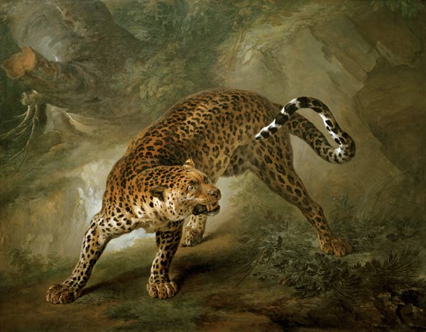 Leopard from Jean Baptiste Oudry