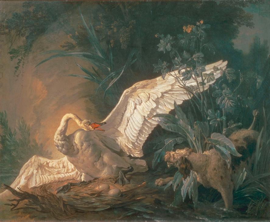 Chien barbet attaquant un cygne dans son nid from Jean Baptiste Oudry