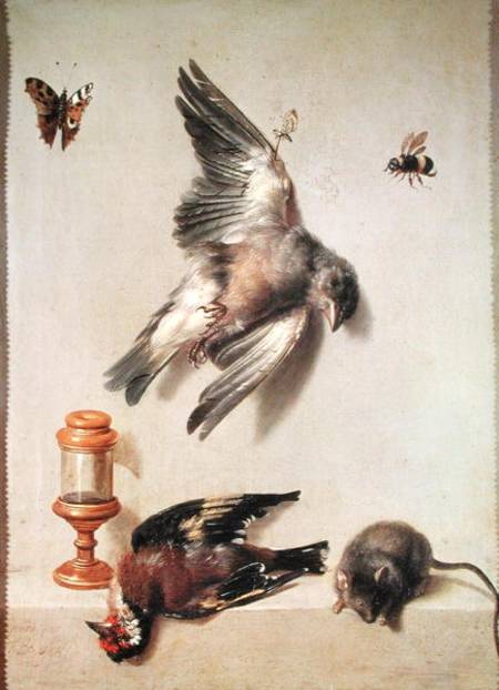 Still Life of Dead Birds and a Mouse from Jean Baptiste Oudry