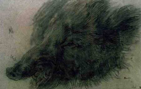 Head of a Wild Boar from Jean-Baptiste Siméon Chardin
