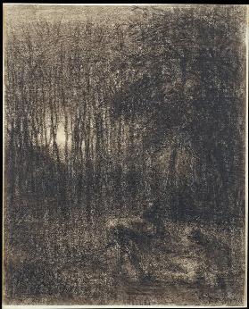 Nocturnal Scene in a Forest