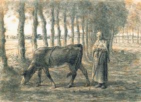 Woman with a cow
