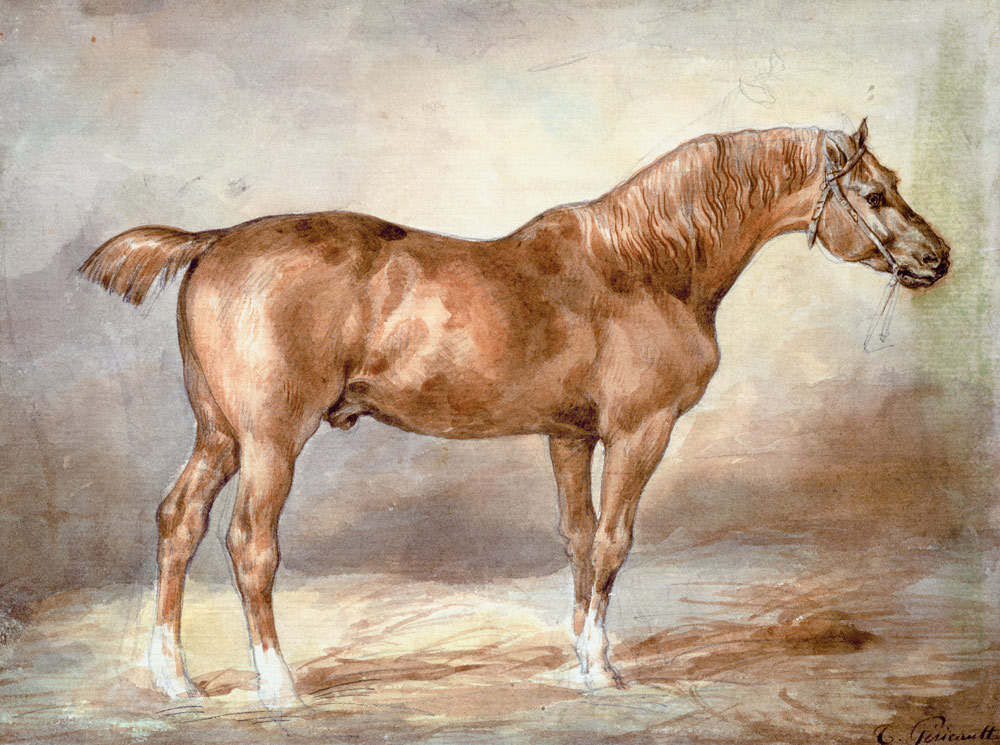 A docked chestnut horse from Jean Louis Théodore Géricault