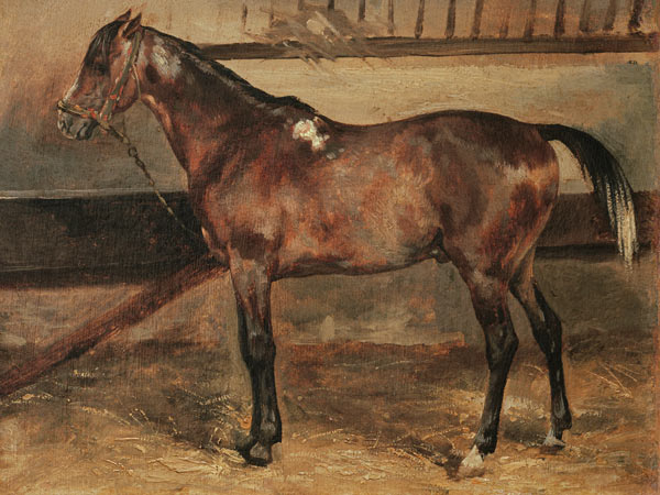 Brown Horse in the Stalls from Jean Louis Théodore Géricault