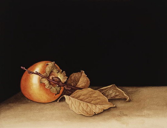 Persimmon, 2004 (w/c on paper)  from Jenny  Barron