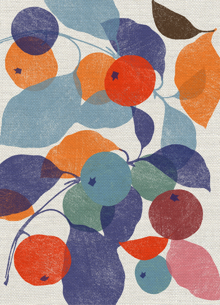 Printed Apples from Jenny Frean