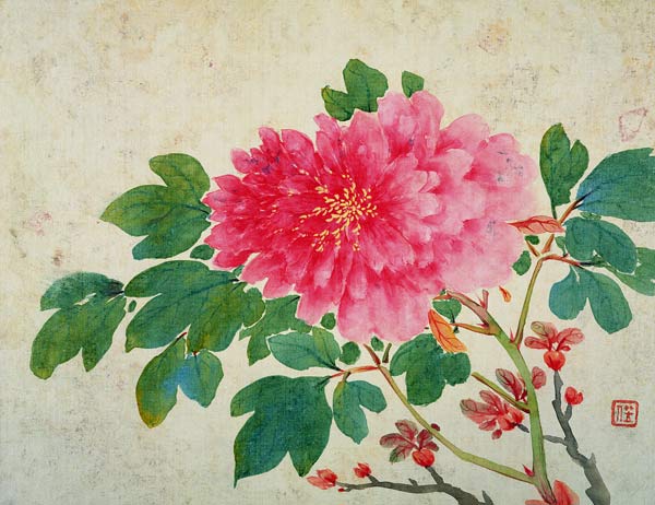 Painting of Peonies, from the 'Album of Paintings of Flowers, Fruits, Birds and Animals' from Jiang  Yu