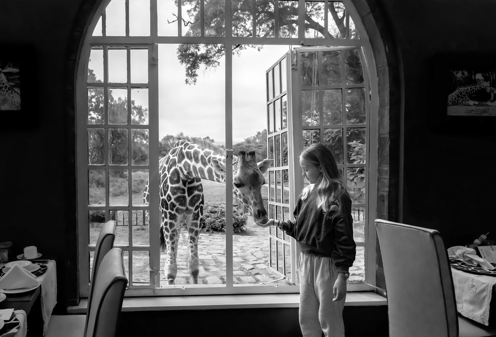 Giraffe and girl from Jie Fischer