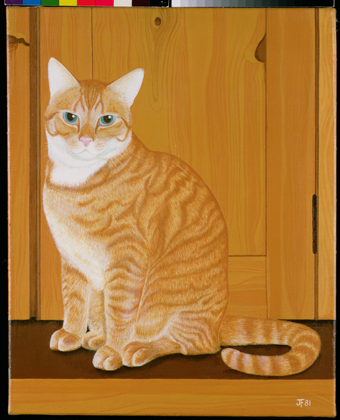 Marmalade cat by a door from Joan Freestone