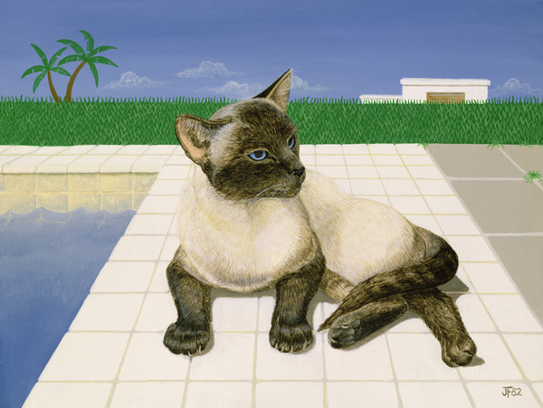 Siamese cat by a swimming pool from Joan Freestone
