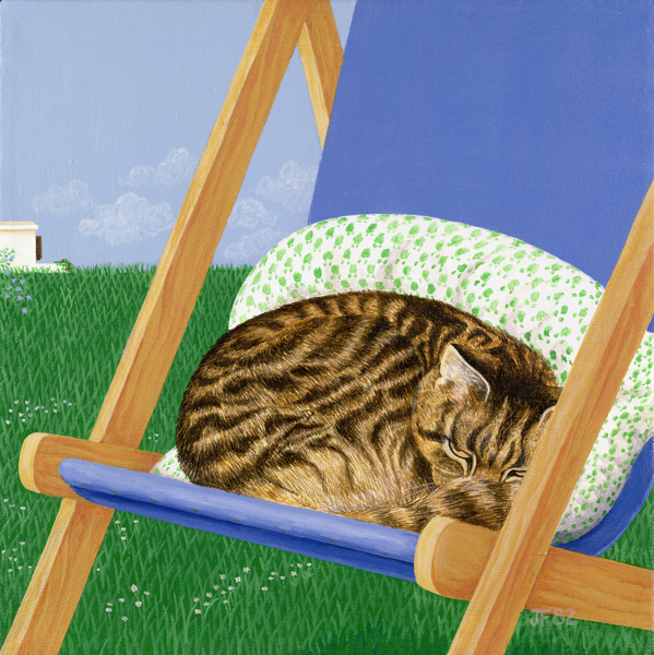 Tabby cat asleep in a deck chair from Joan Freestone