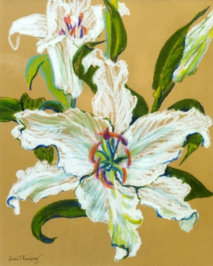 The white lilies from Joan  Thewsey