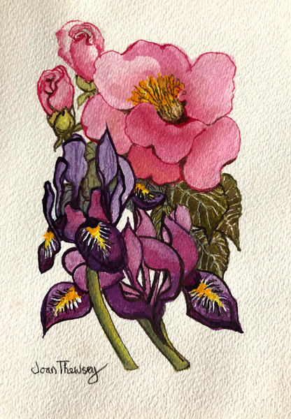 Camellia and Dutch Iris from Joan  Thewsey