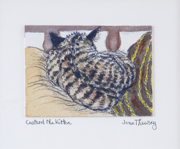 Custard the Kitten from Joan  Thewsey