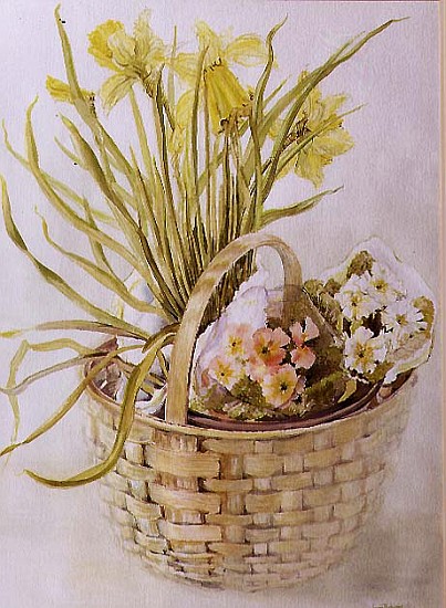 Daffodil Basket (w/c on paper)  from Joan  Thewsey
