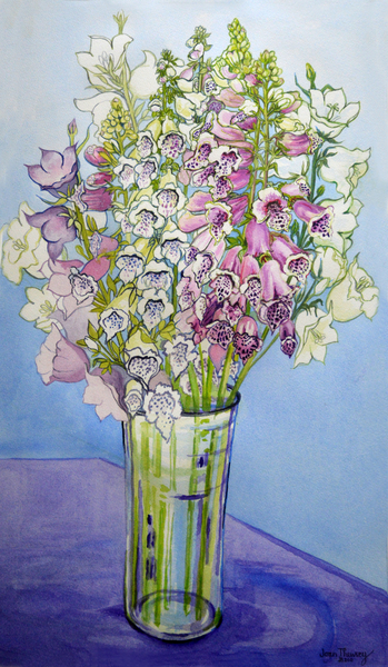 Foxgloves and Campanulas from Joan  Thewsey