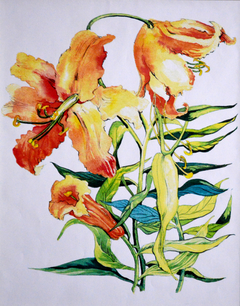 Orange Lilies 1 from Joan  Thewsey