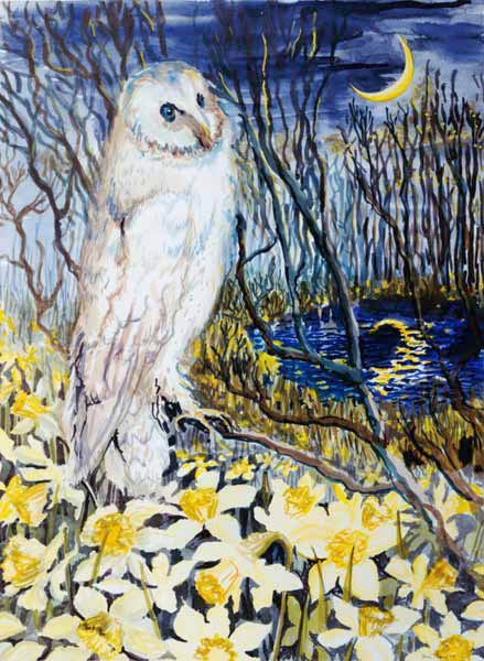 Owl (w/c on paper)  from Joan  Thewsey