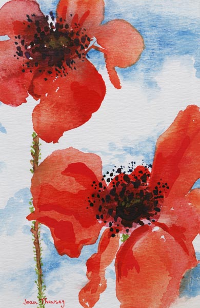 Poppies (w/c on paper)  from Joan  Thewsey