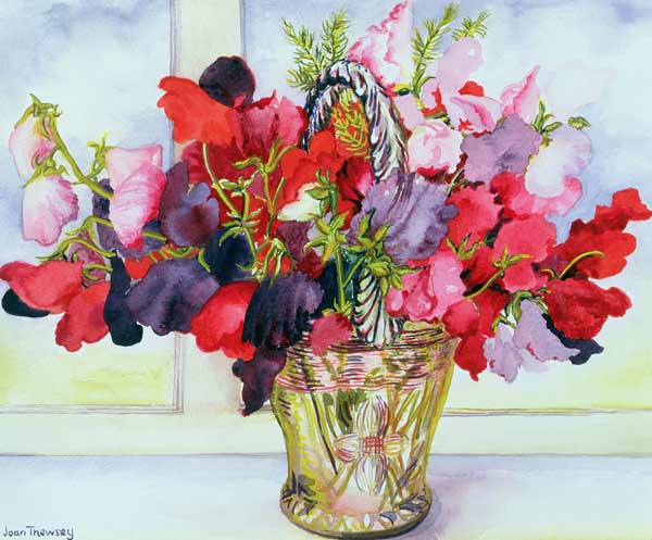 Sweet Peas in a Vase (w/c on paper)  from Joan  Thewsey