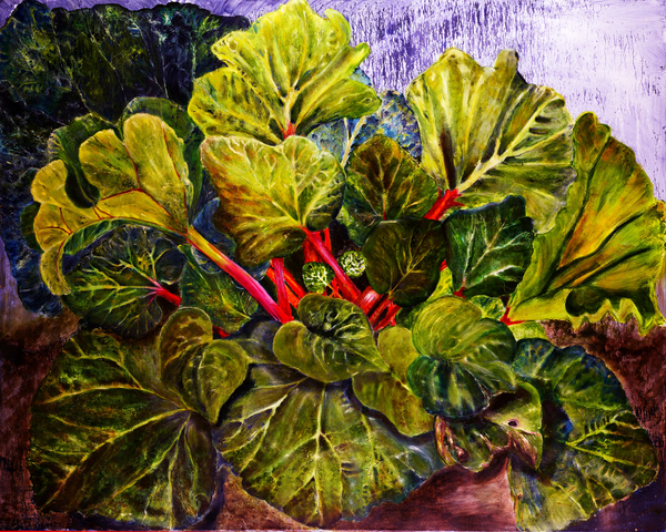 rhubarb from jocasta shakespeare