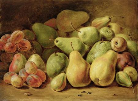 Fruit Still Life from Joh. Friedrich August Tischbein