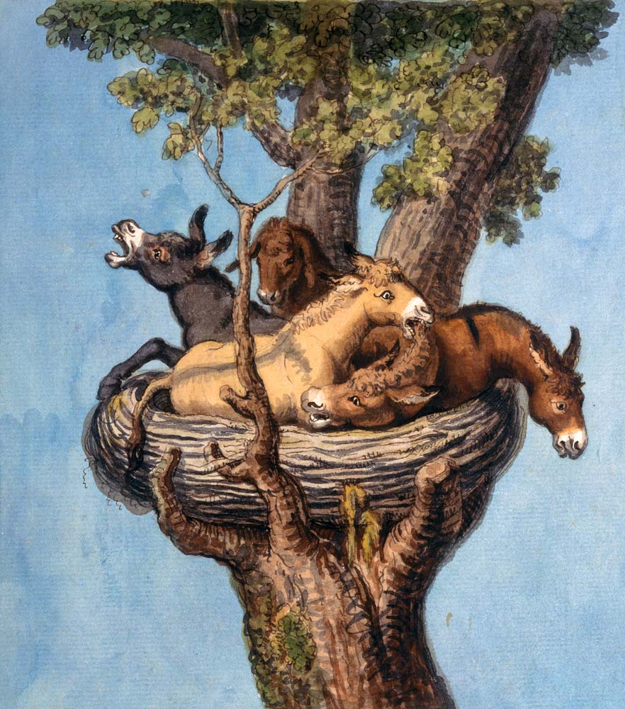 Donkey in the nest (donkey history) from Joh. Heinrich Wilhelm Tischbein
