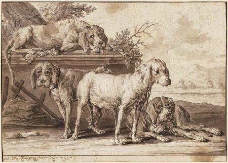 Four hunting dogs