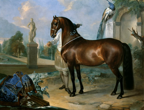 The bay horse' Sincero' from Johann Georg Hamilton