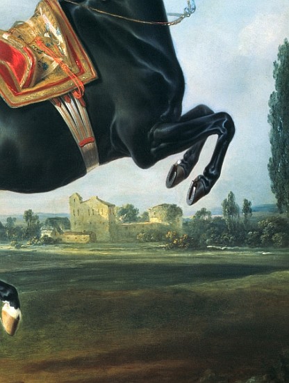 A black horse performing the Courbette (detail of 65652) from Johann Georg Hamilton