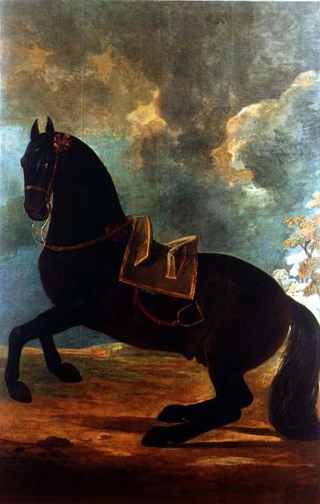 The Bay Stallion with spanish saddle from Johann Georg Hamilton