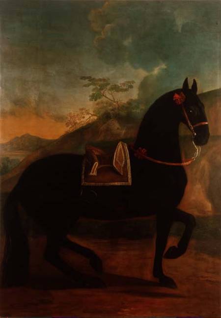 A Black Horse sporting a Spanish Saddle from Johann Georg Hamilton